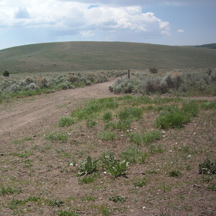 Paiute ATV Trail intersection of 01 and 72